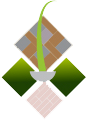 favicon favicon